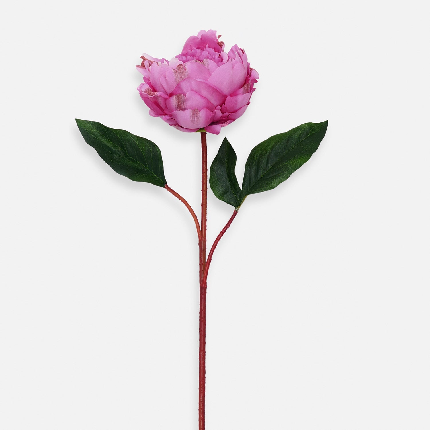 Dark Pink Artificial Peony Flower Stem - Single