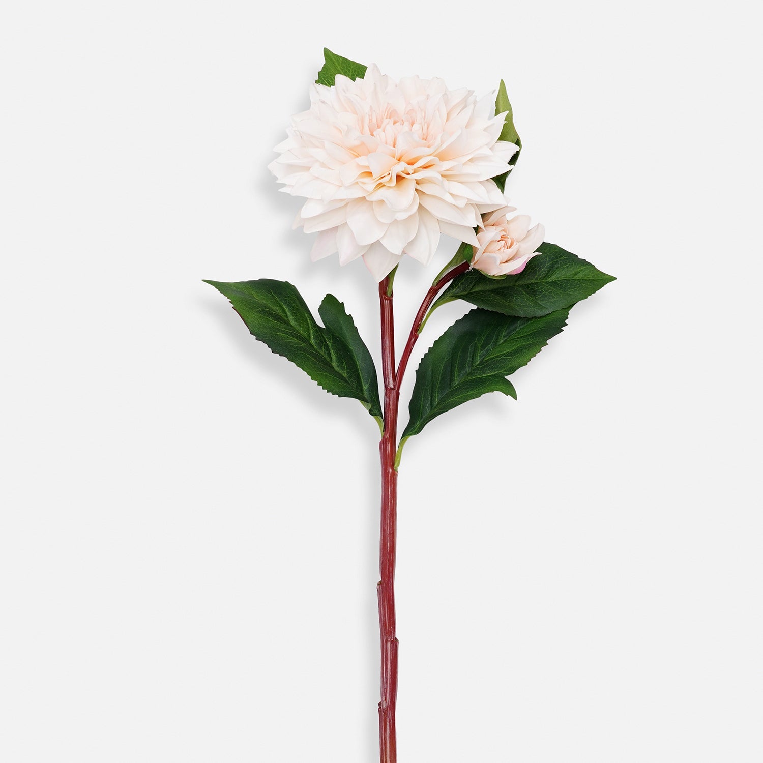 Ivory Artificial Dahlia Flower Stem - Single