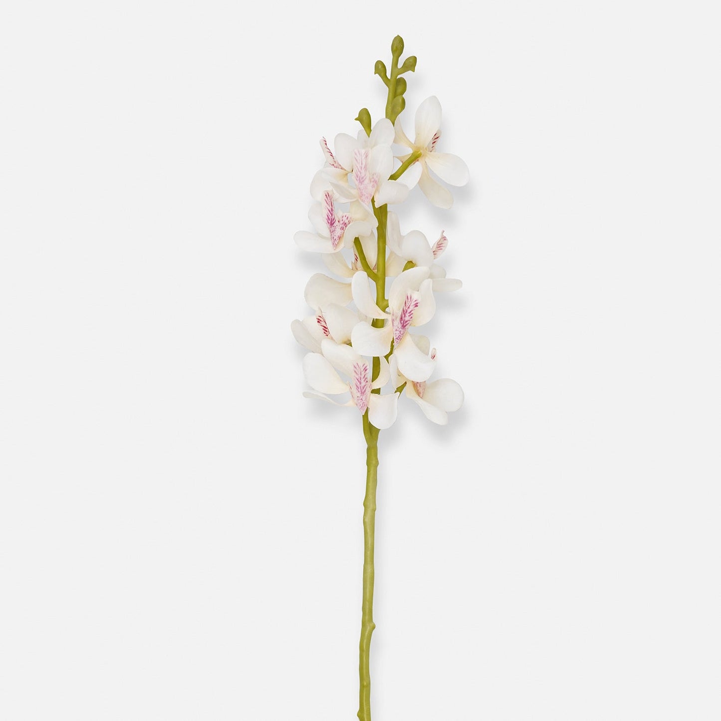 Ivory Artificial Vanda Orchid Flower Stem - Single