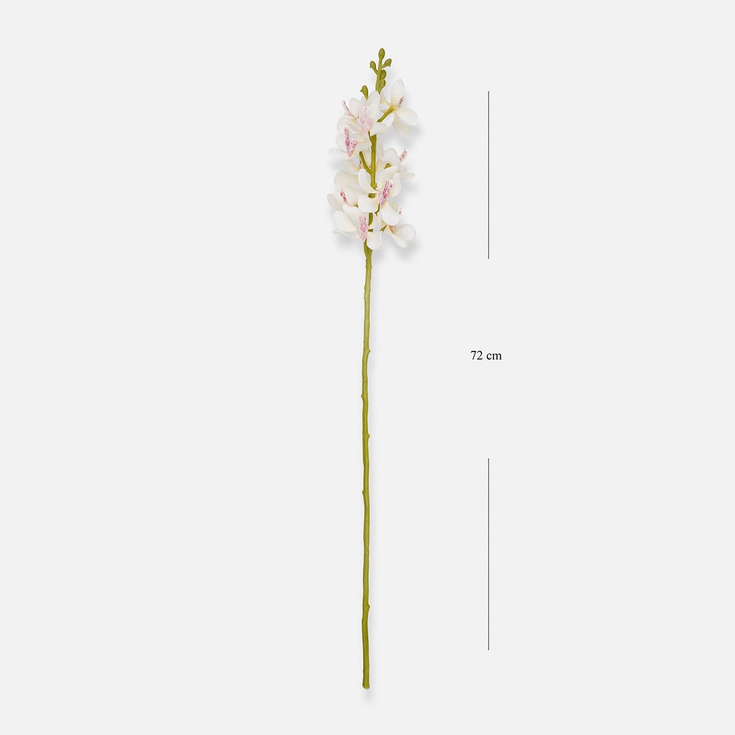 Ivory Artificial Vanda Orchid Flower Stem - Single
