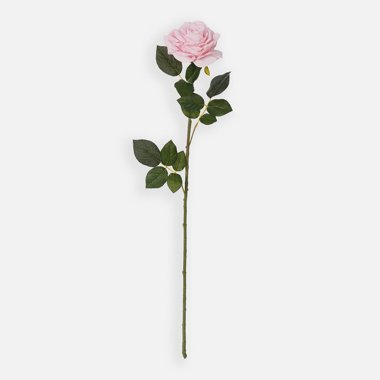 Blush Pink Artificial Rose Flower Stem - Single