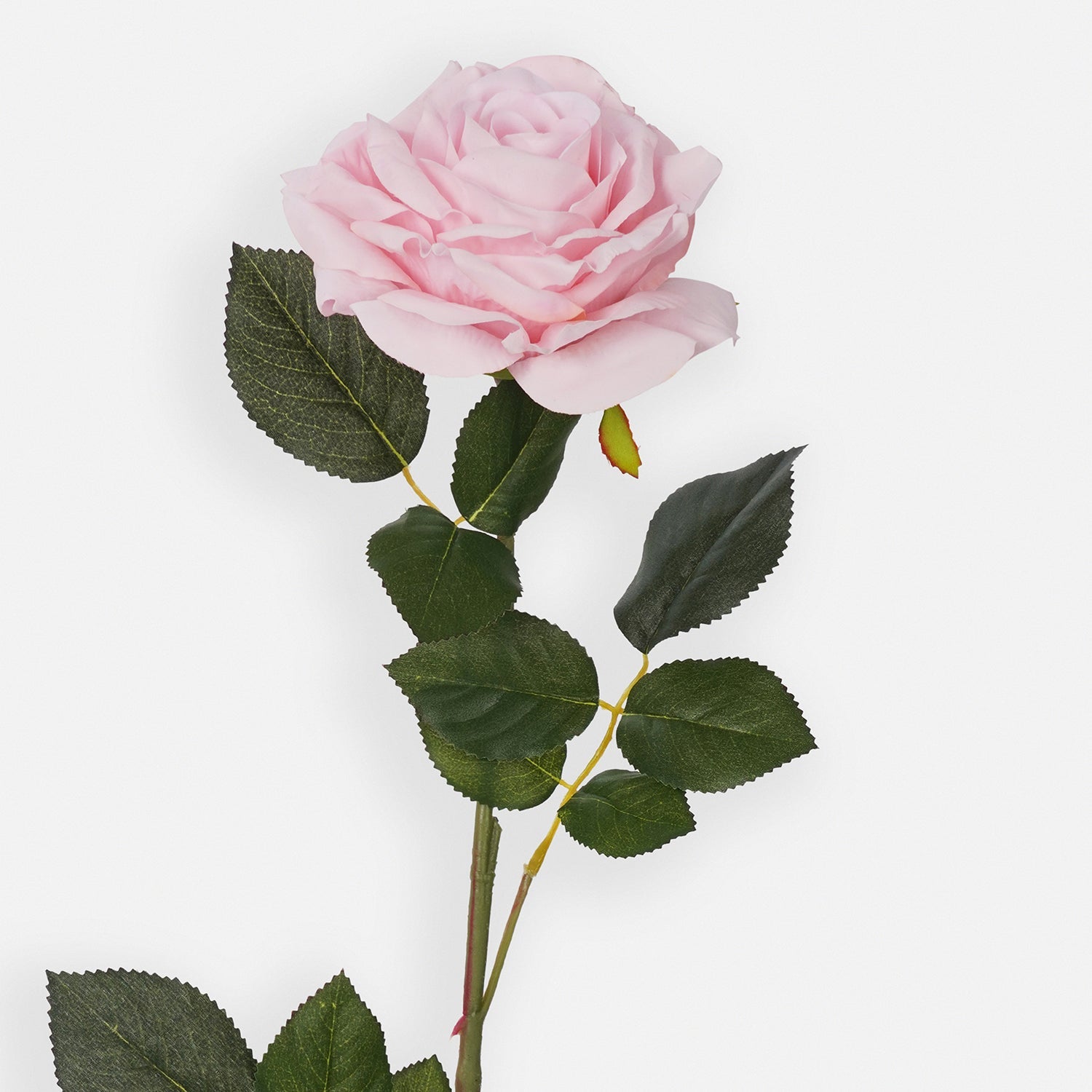 Blush Pink Artificial Rose Flower Stem - Single