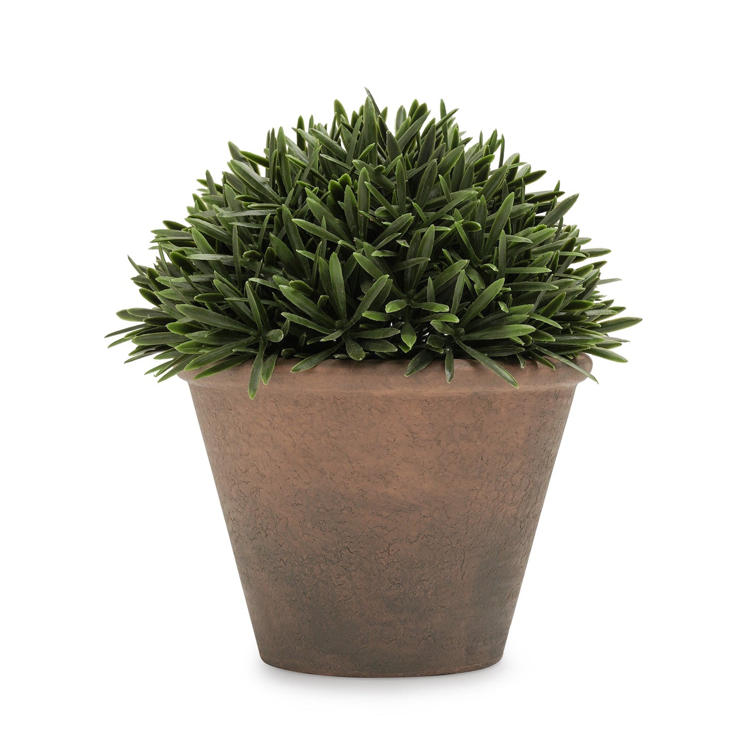 Green Artificial Fern Pine Plant with Cement Pot - Small