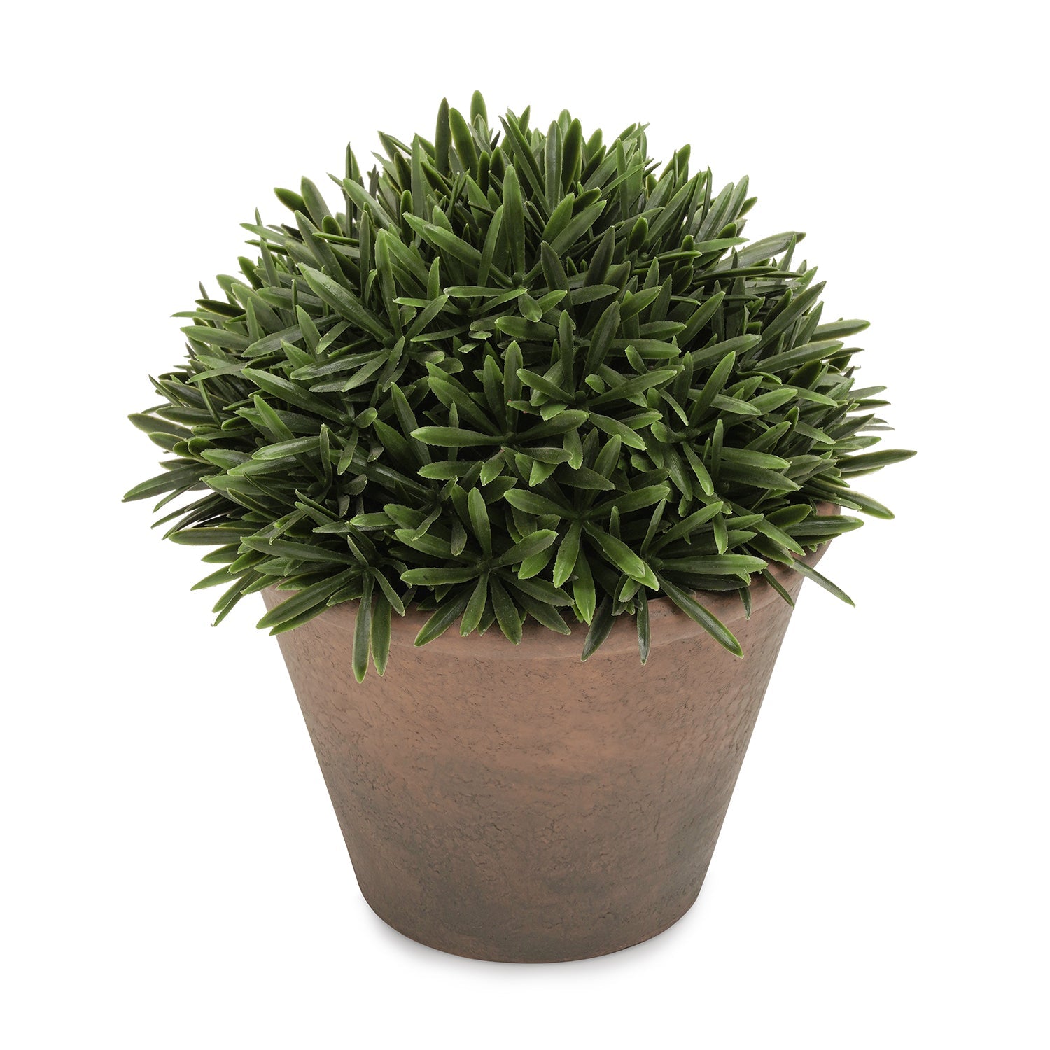 Green Artificial Fern Pine Plant with Cement Pot - Small
