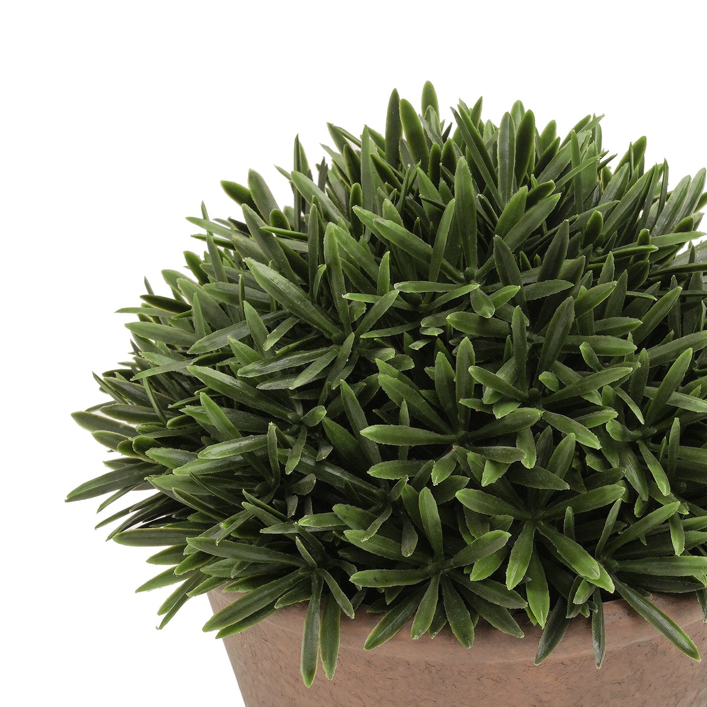Green Artificial Fern Pine Plant with Cement Pot - Small