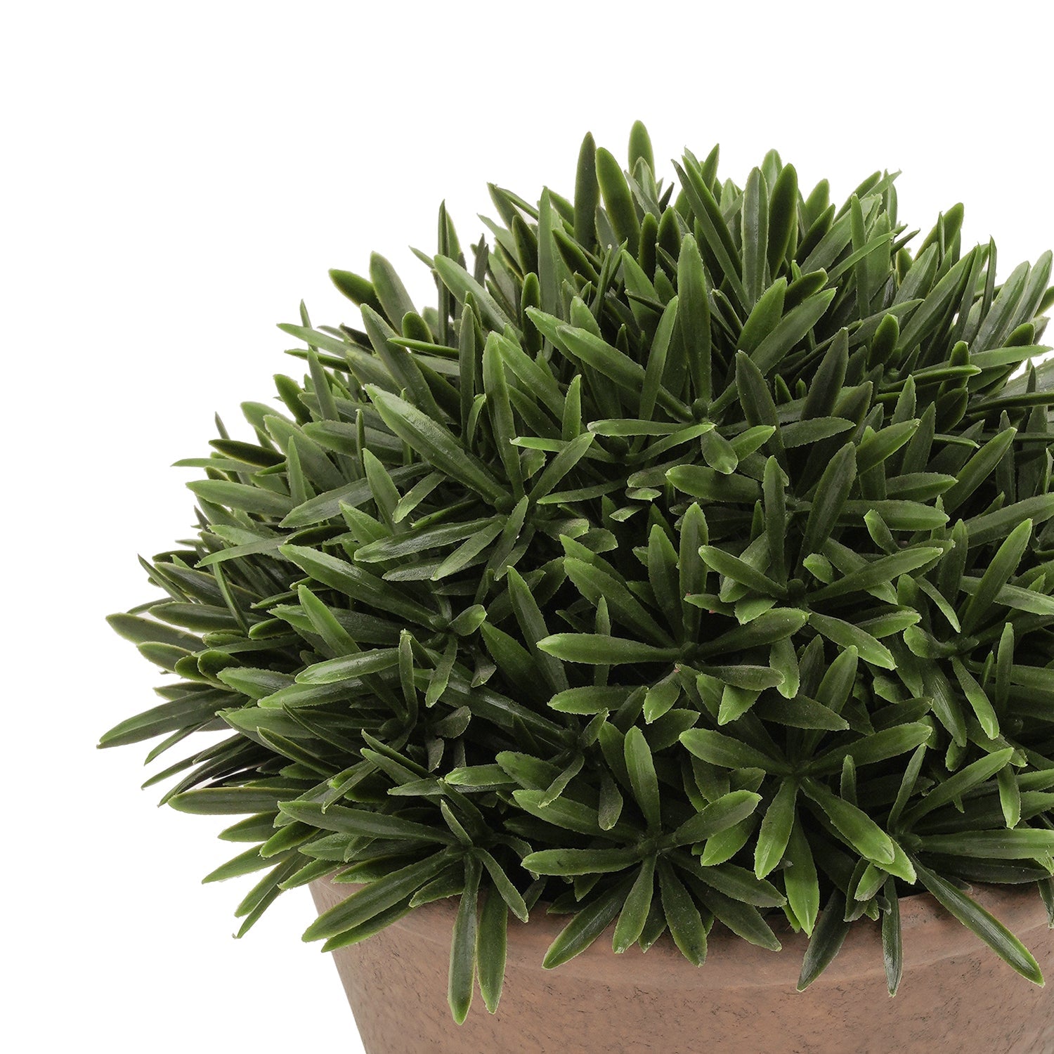 Green Artificial Fern Pine Plant with Cement Pot - Small