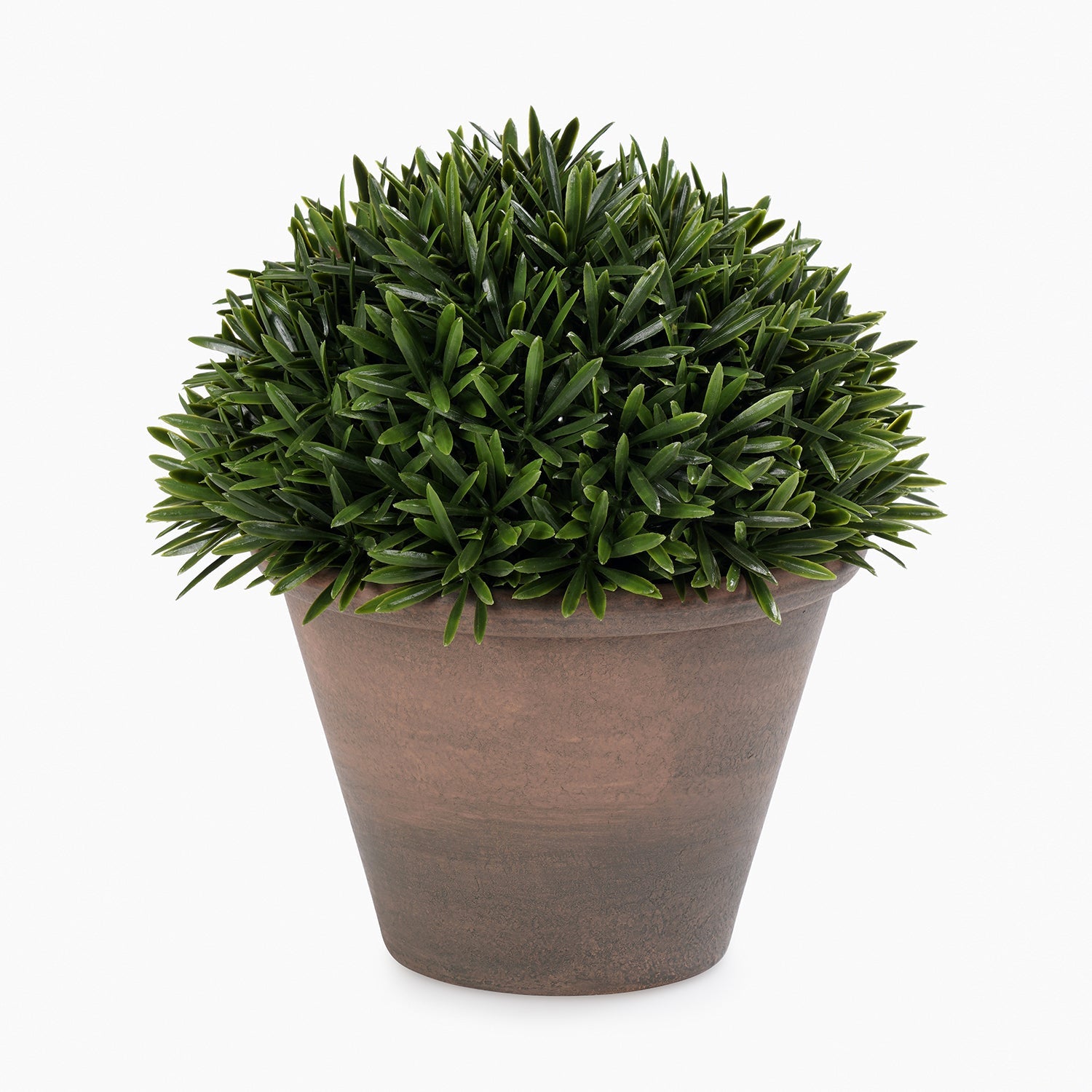 Green Artificial Fern Pine Plant with Cement Pot - Large