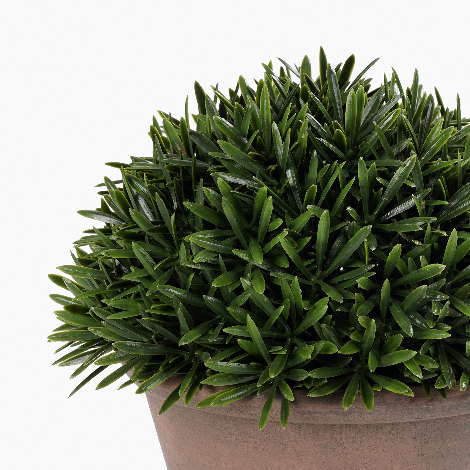 Green Artificial Fern Pine Plant with Cement Pot - Large