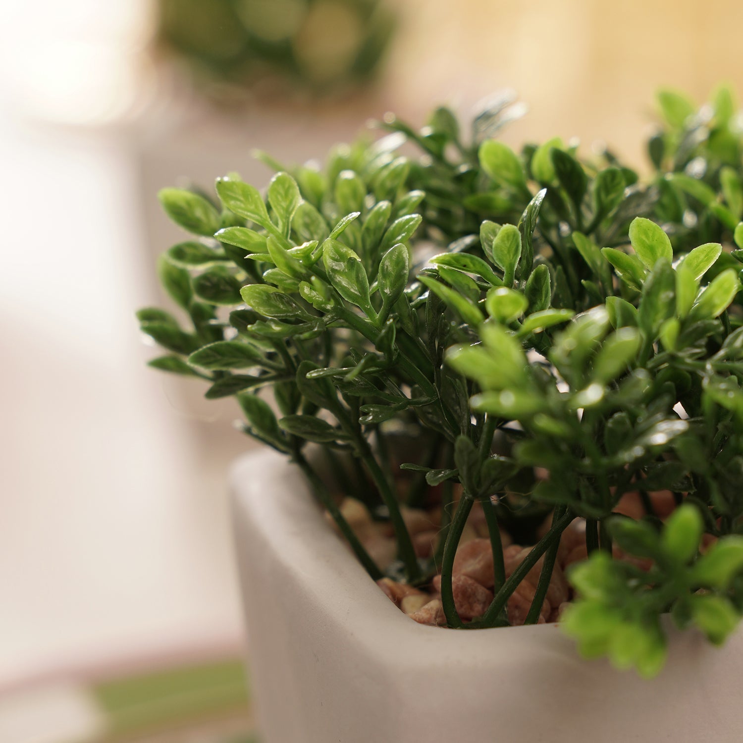 Green Artificial Plant in Cement Pot - Medium