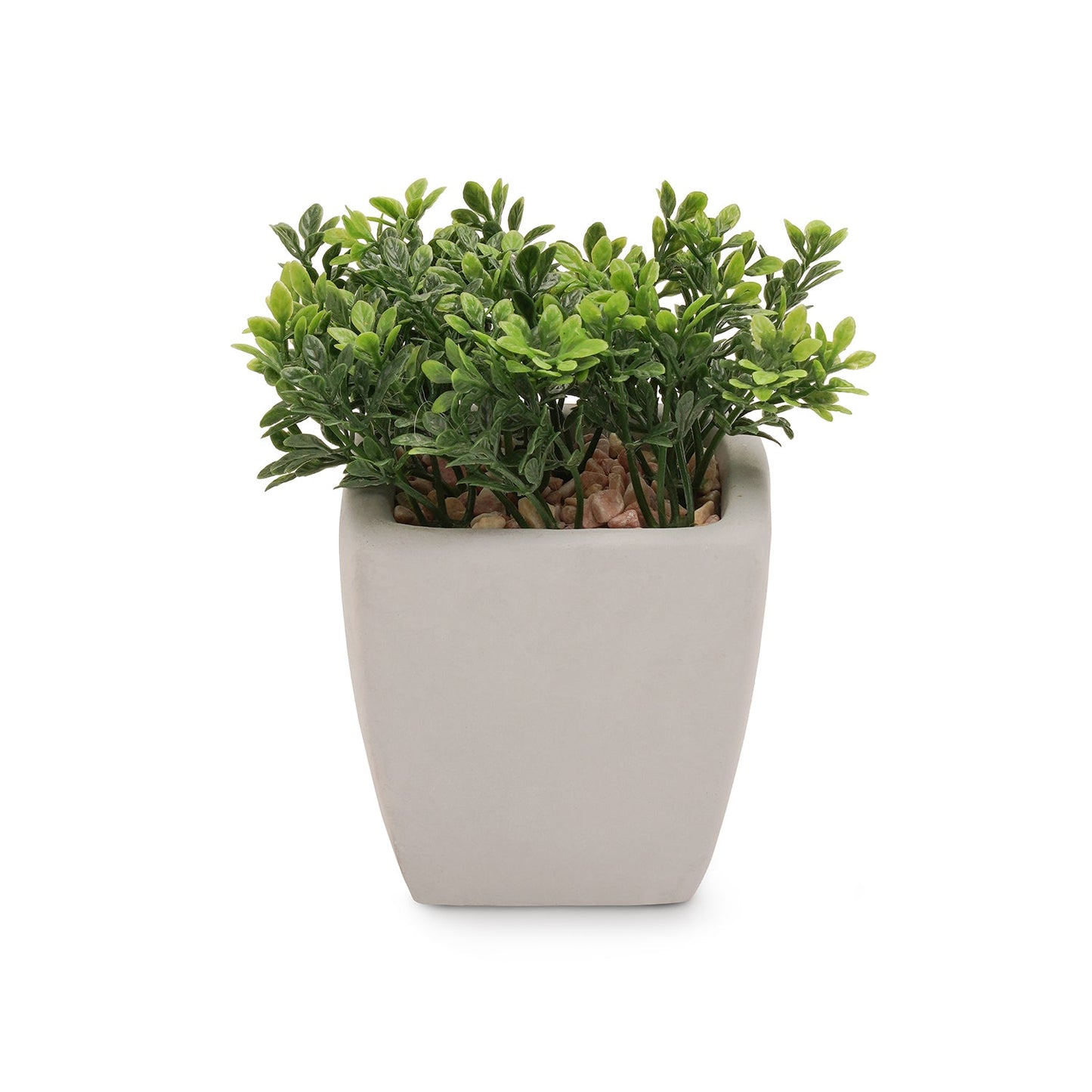 Green Artificial Plant in Cement Pot - Medium