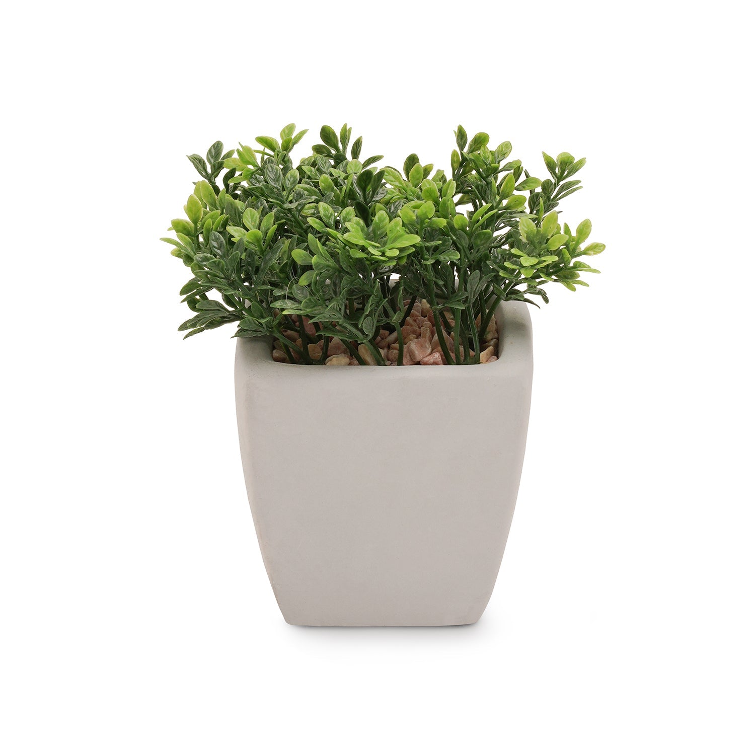 Green Artificial Plant in Cement Pot - Medium