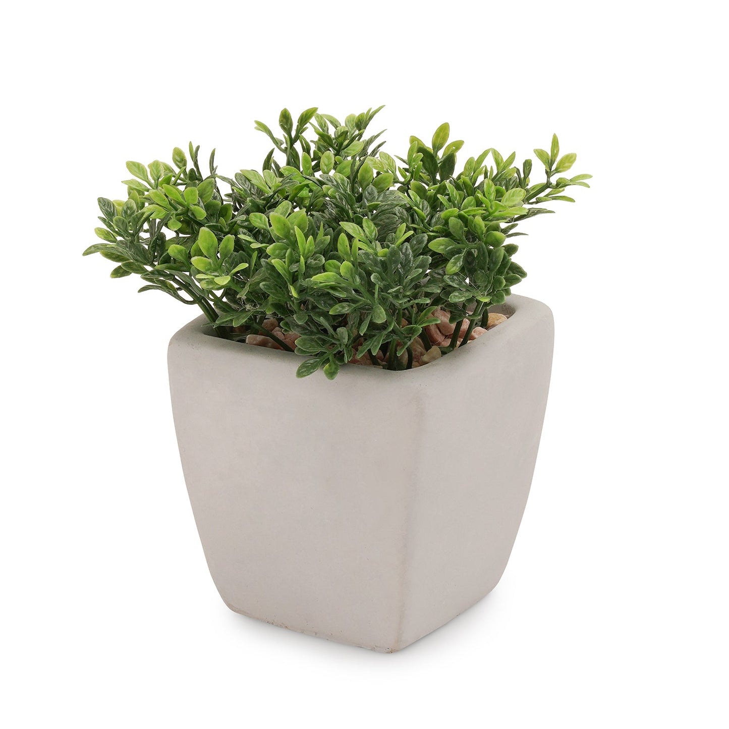 Green Artificial Plant in Cement Pot - Medium