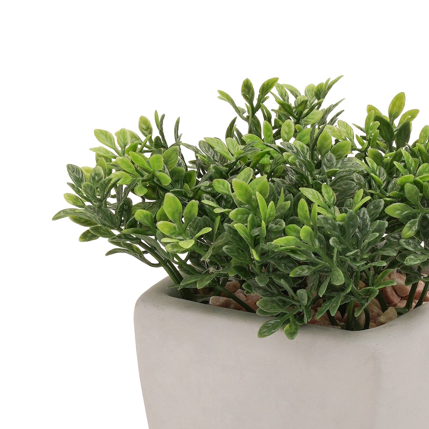 Green Artificial Plant in Cement Pot - Medium