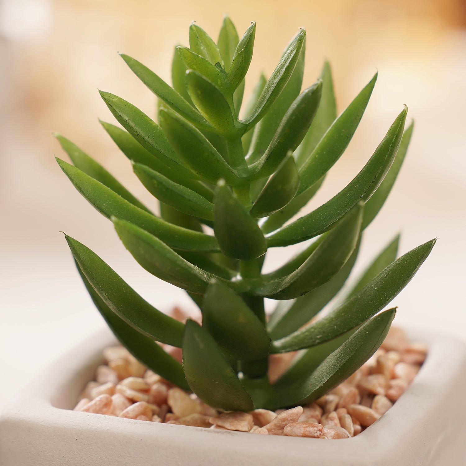 Green Potted Artificial Cactus - Medium