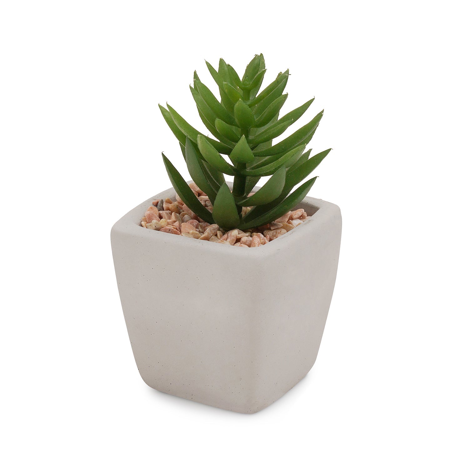 Green Potted Artificial Cactus - Medium