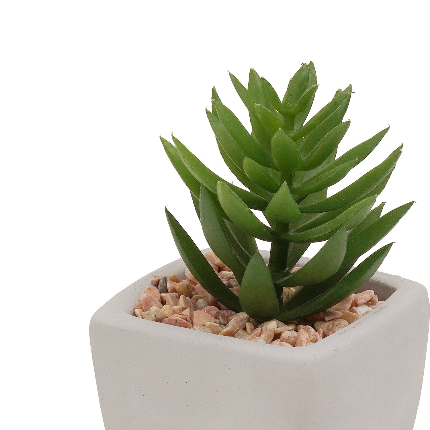 Green Potted Artificial Cactus - Medium