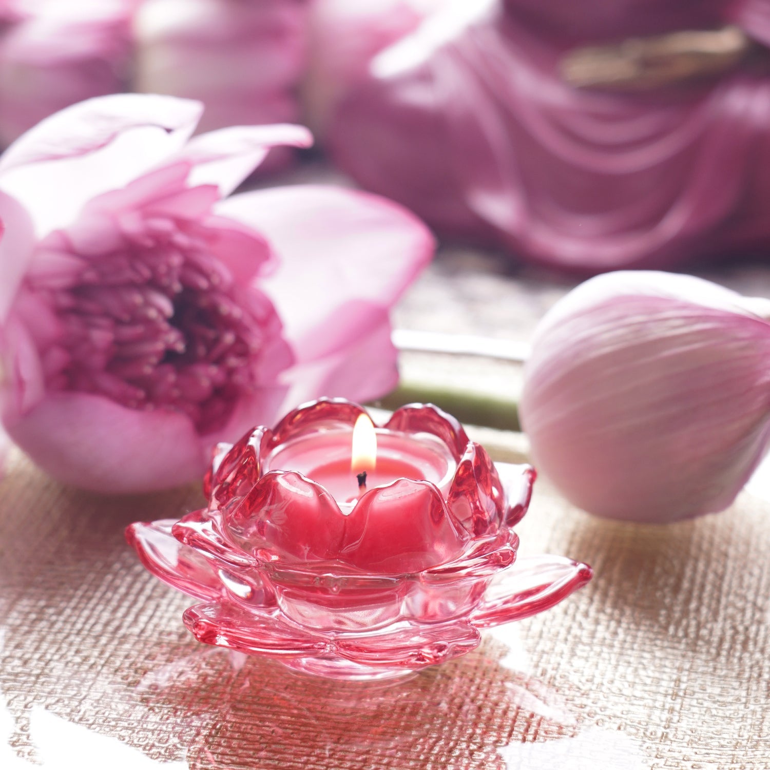Set of 3 Pink Glass Lotus Shaped Tealight Holders