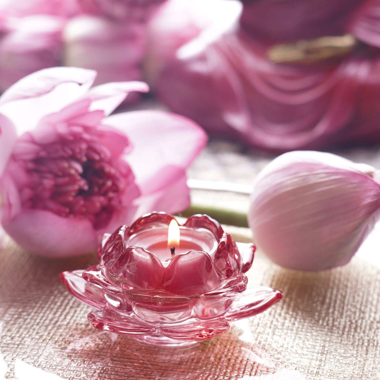 Set of 3 Rose Coloured Glass Lotus Shaped Tealight Holders