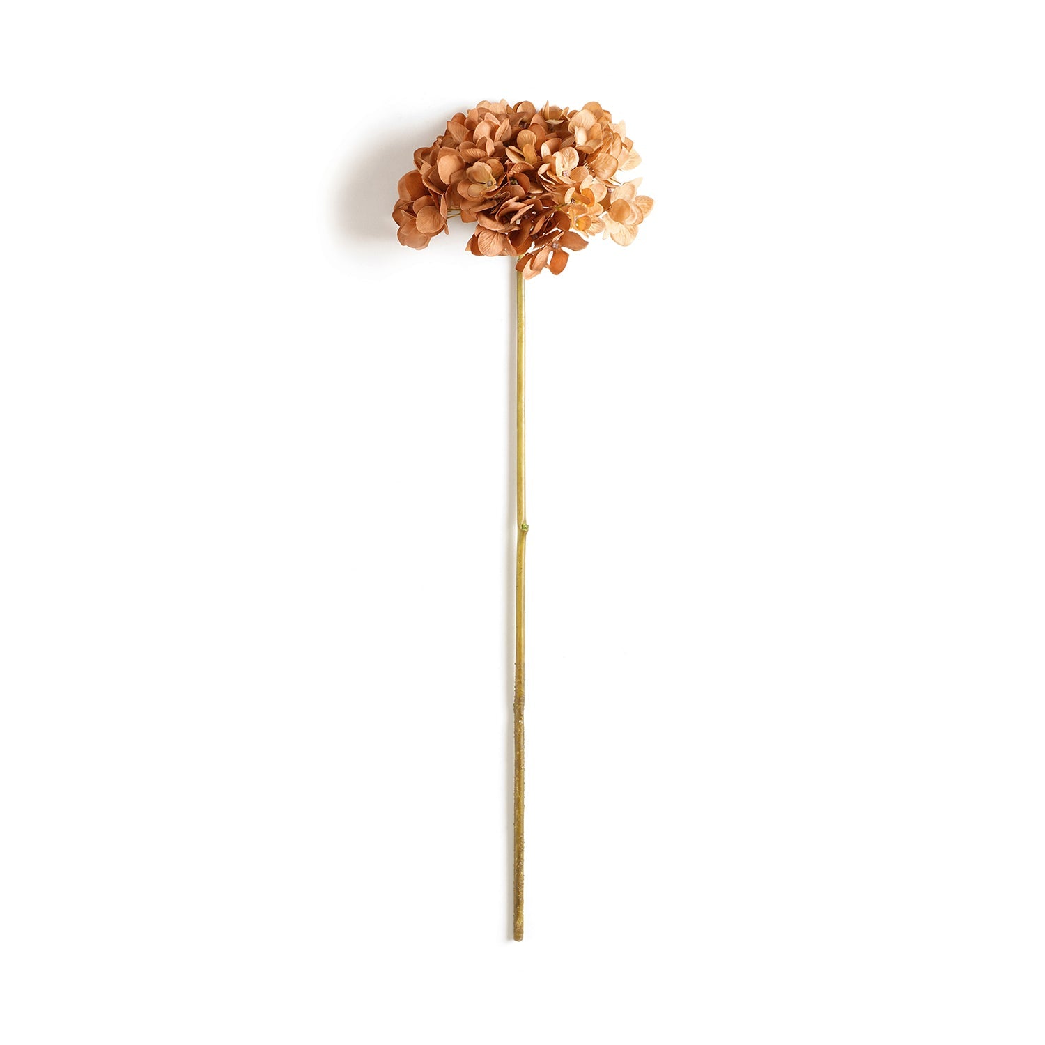 Brown Hydrangea Dry Artificial Stem Single