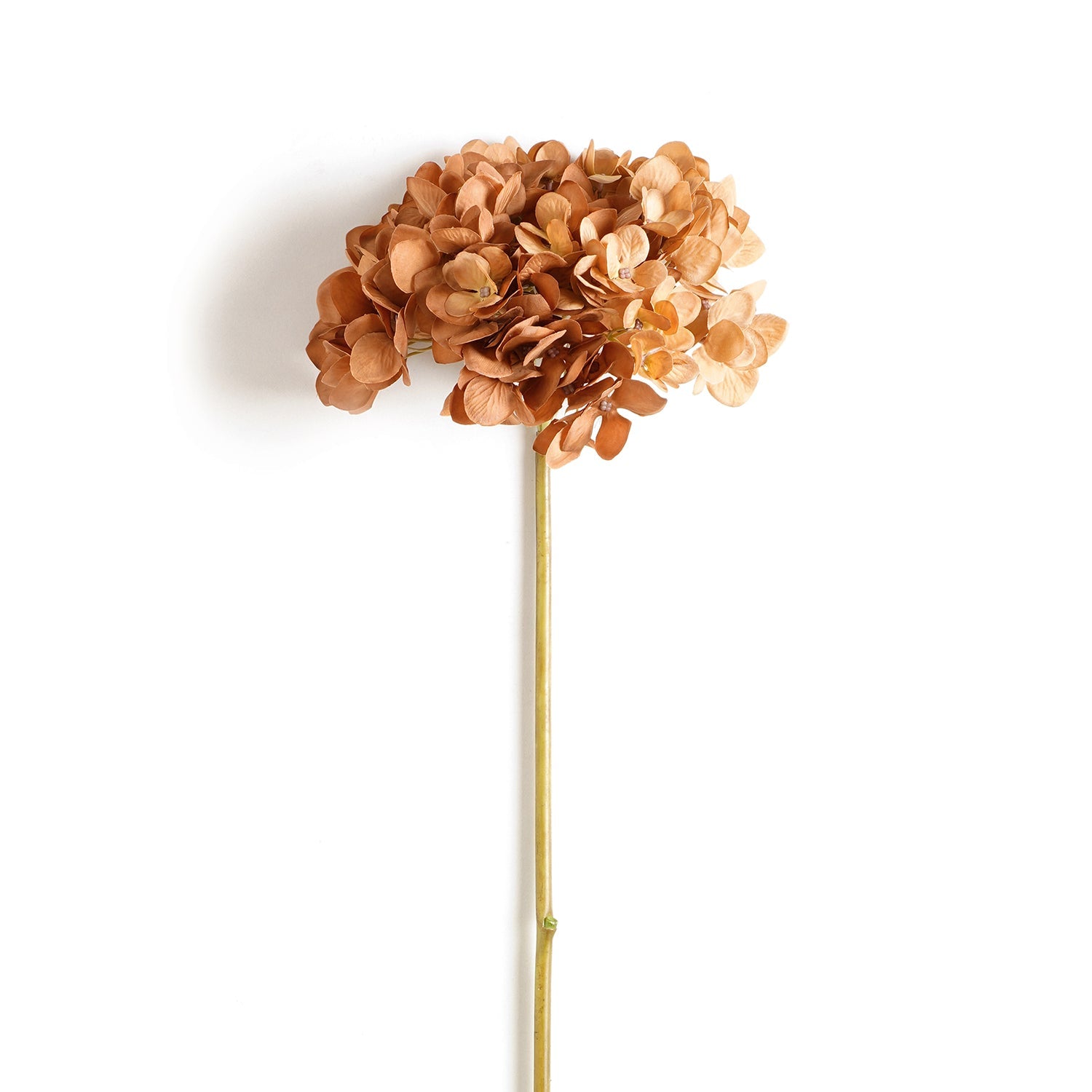 Brown Hydrangea Dry Artificial Stem Single