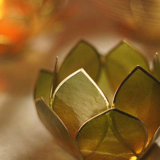 Amber & Green Ombre 12 Petals Capiz Tealight Holder