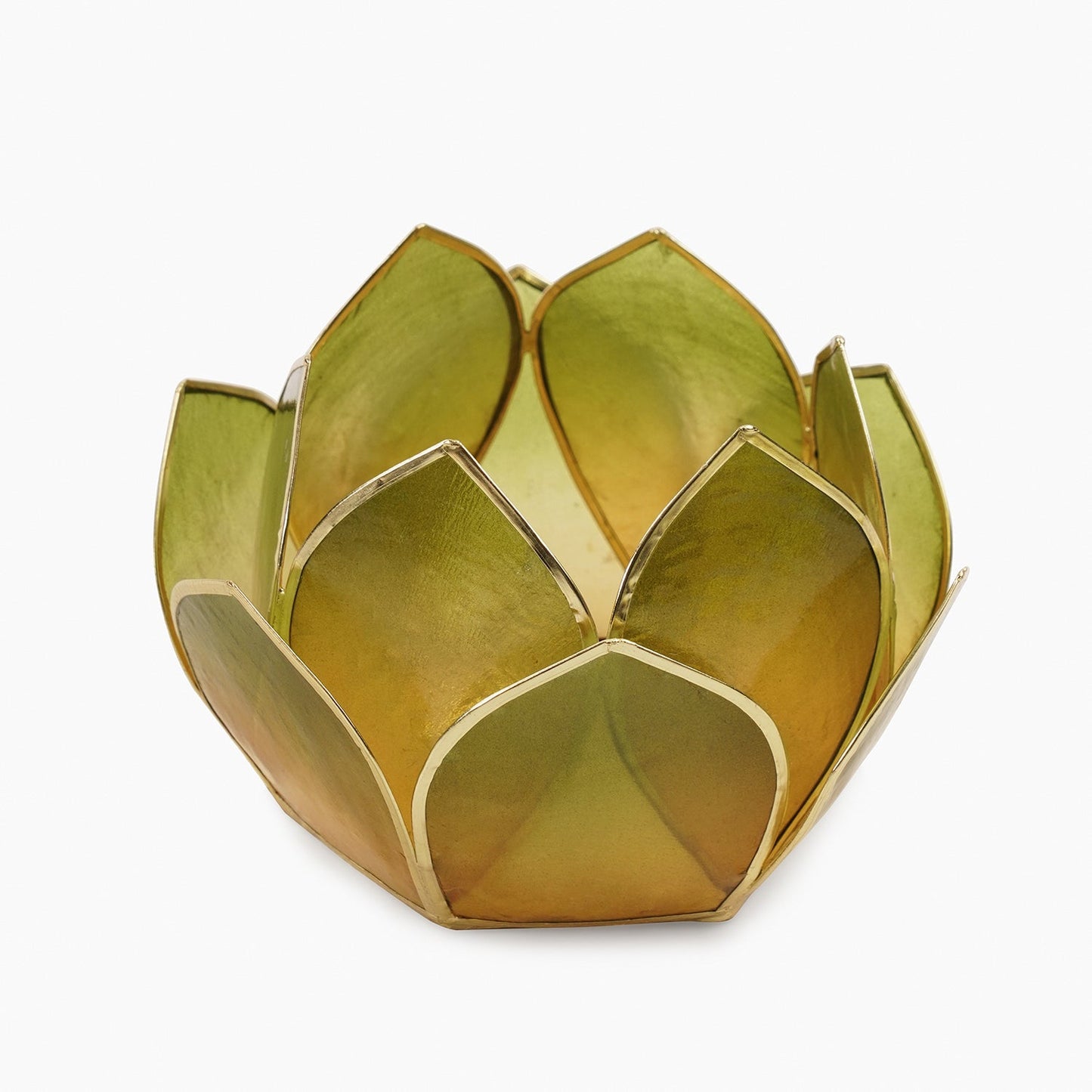 Amber & Green Ombre 12 Petals Capiz Tealight Holder