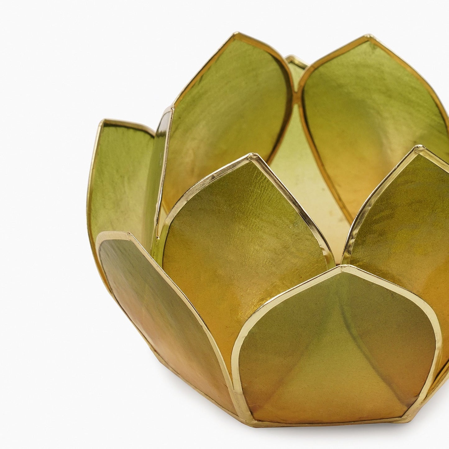 Amber & Green Ombre 12 Petals Capiz Tealight Holder