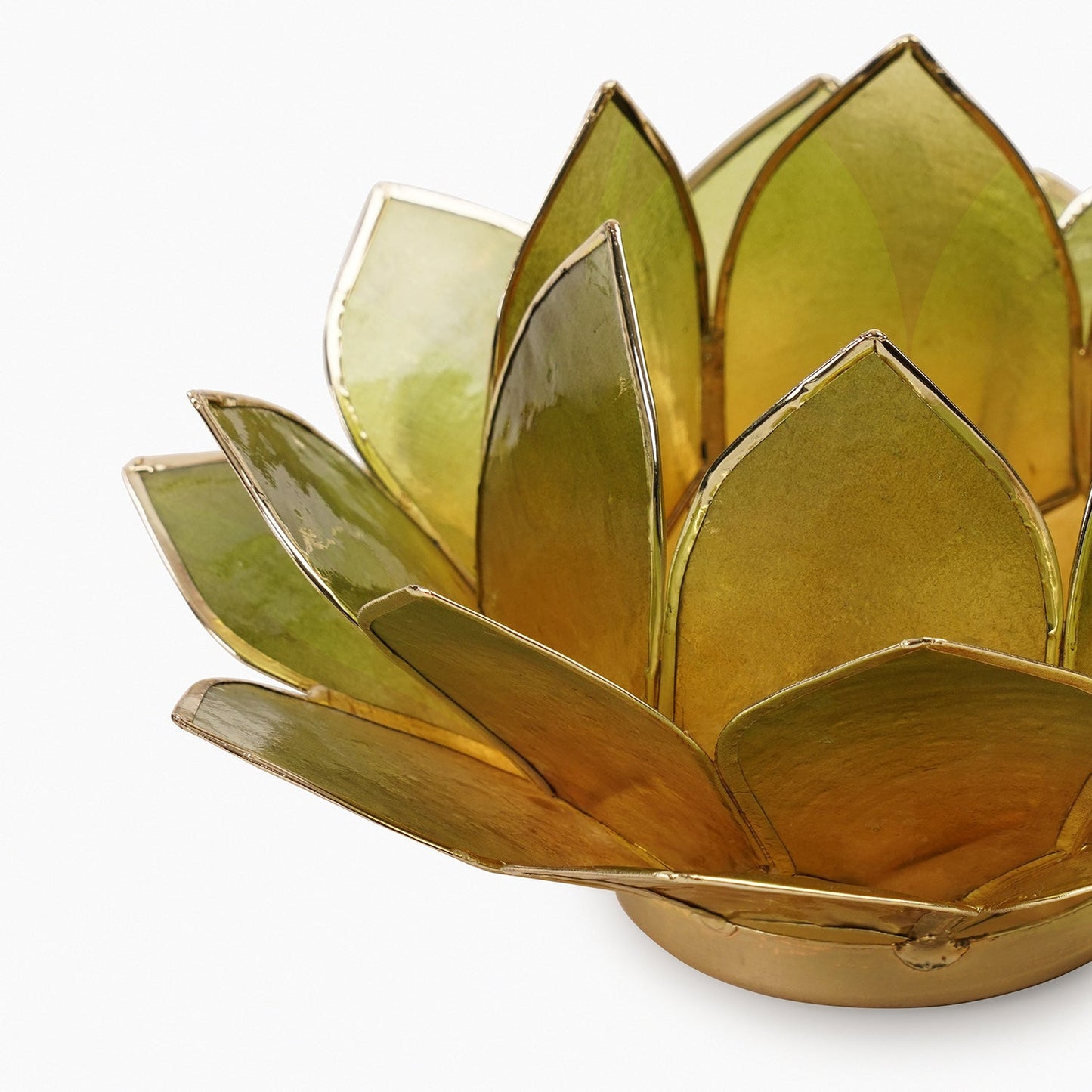 Amber & Green Ombre 22 Petals Capiz Tealight Holder