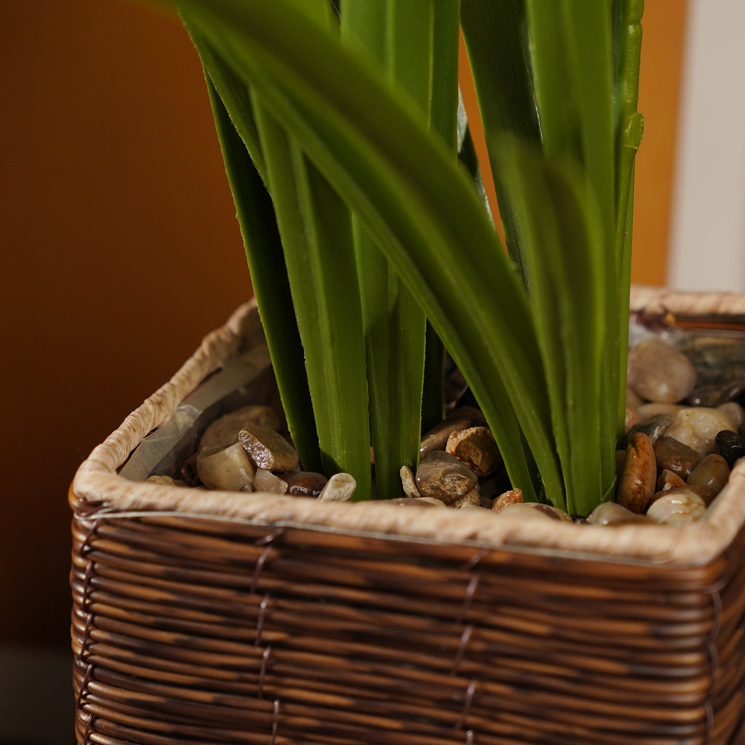 Ivory Artificial Cymbidium in Rattan Pot