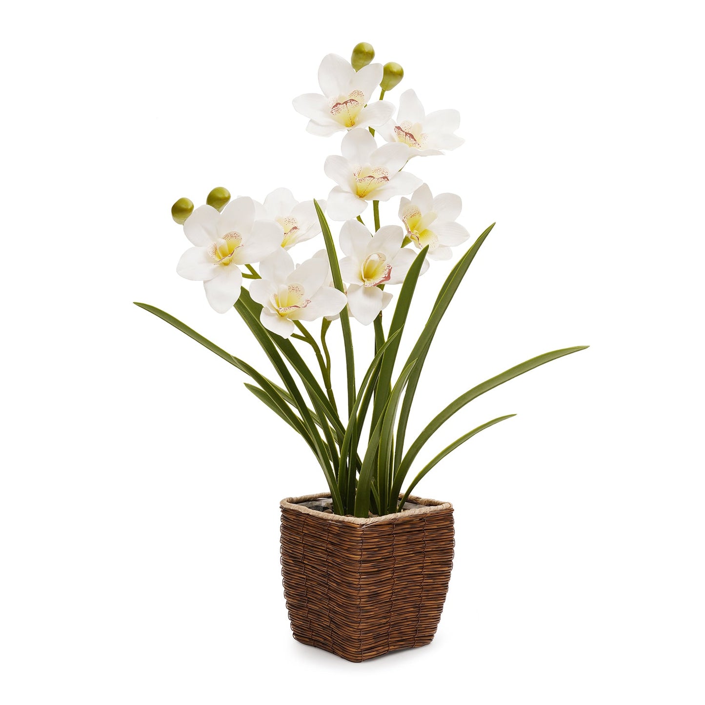 Ivory Artificial Cymbidium in Rattan Pot