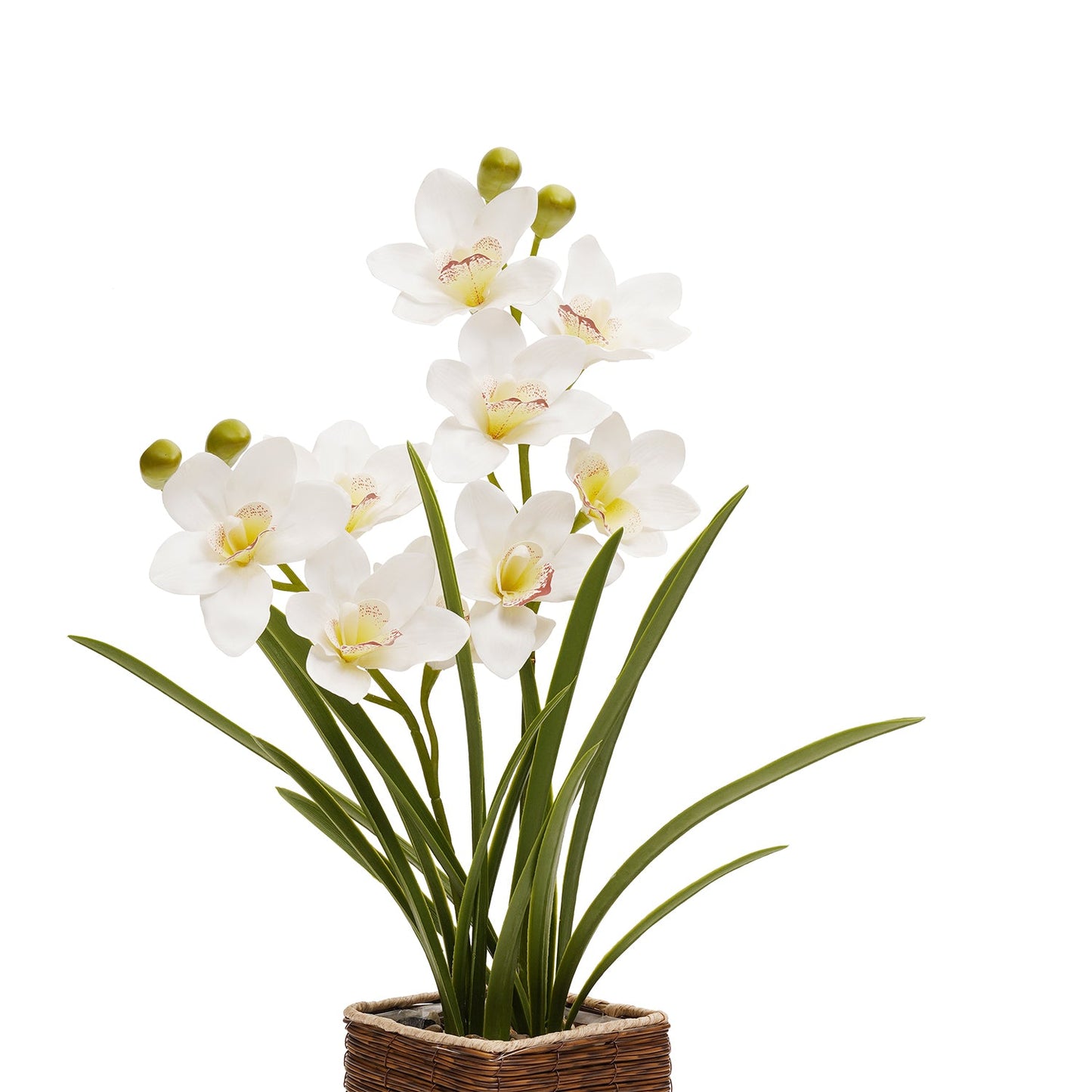 Ivory Artificial Cymbidium in Rattan Pot
