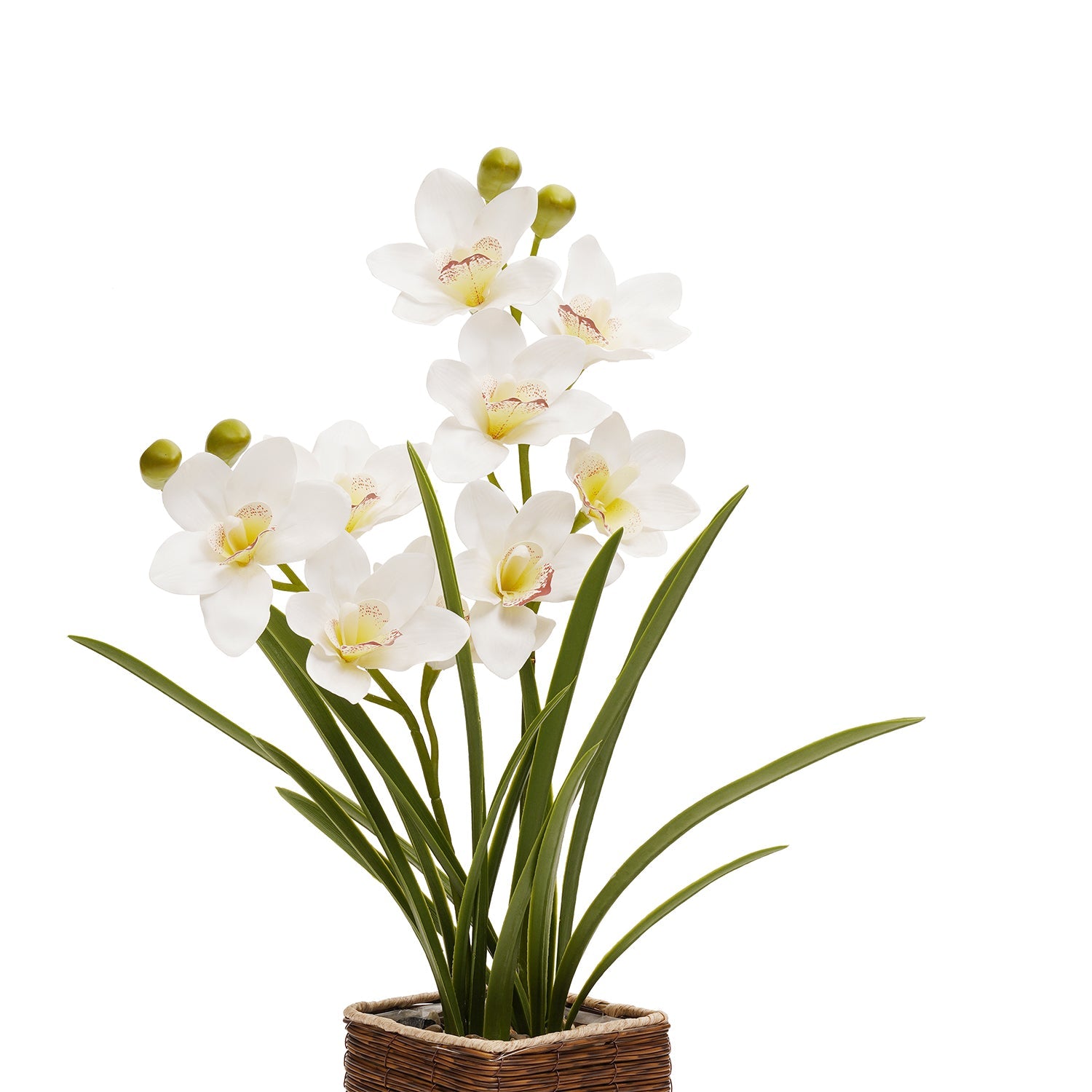 Ivory Artificial Cymbidium in Rattan Pot