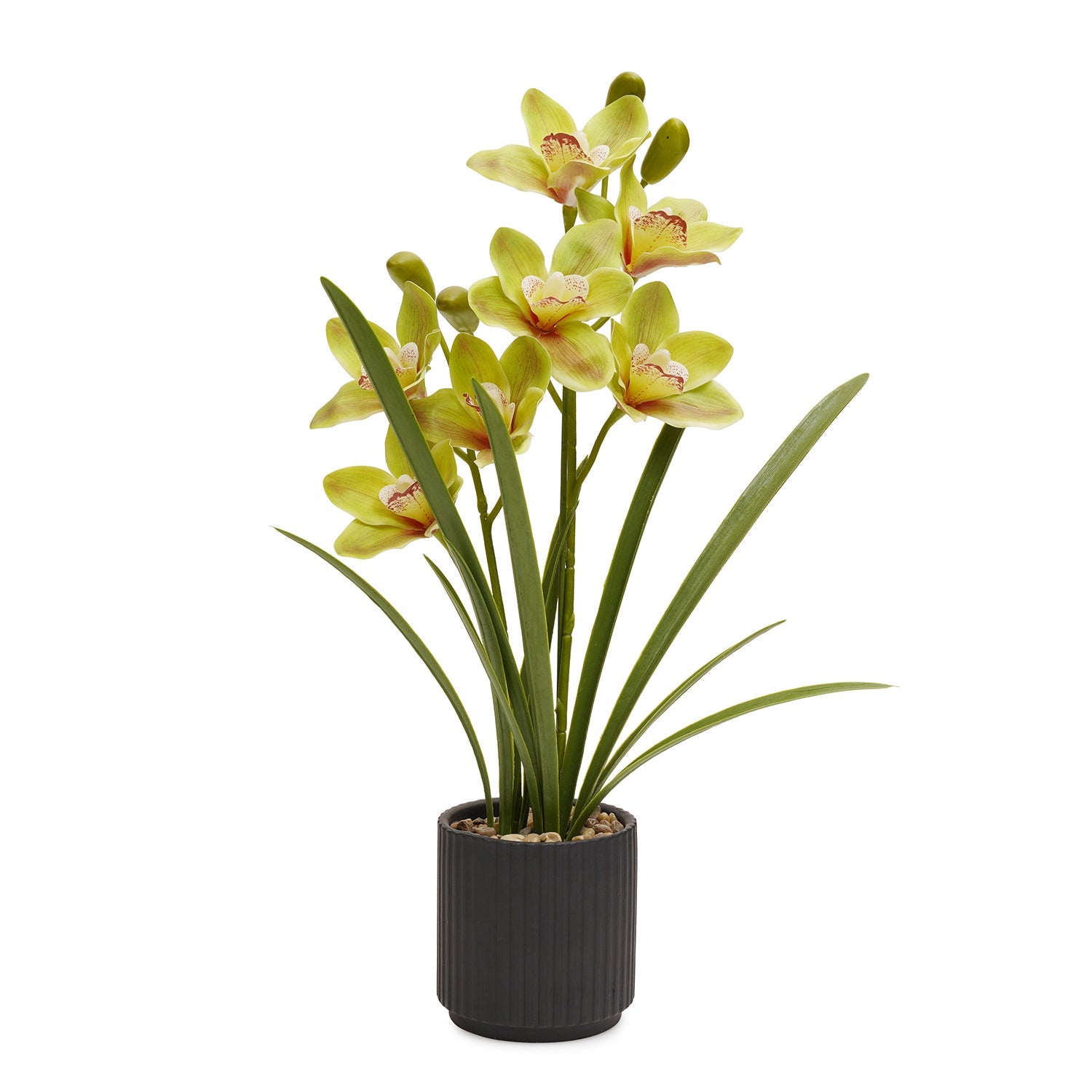 Green Artificial Cymbidium in Ceramic Pot