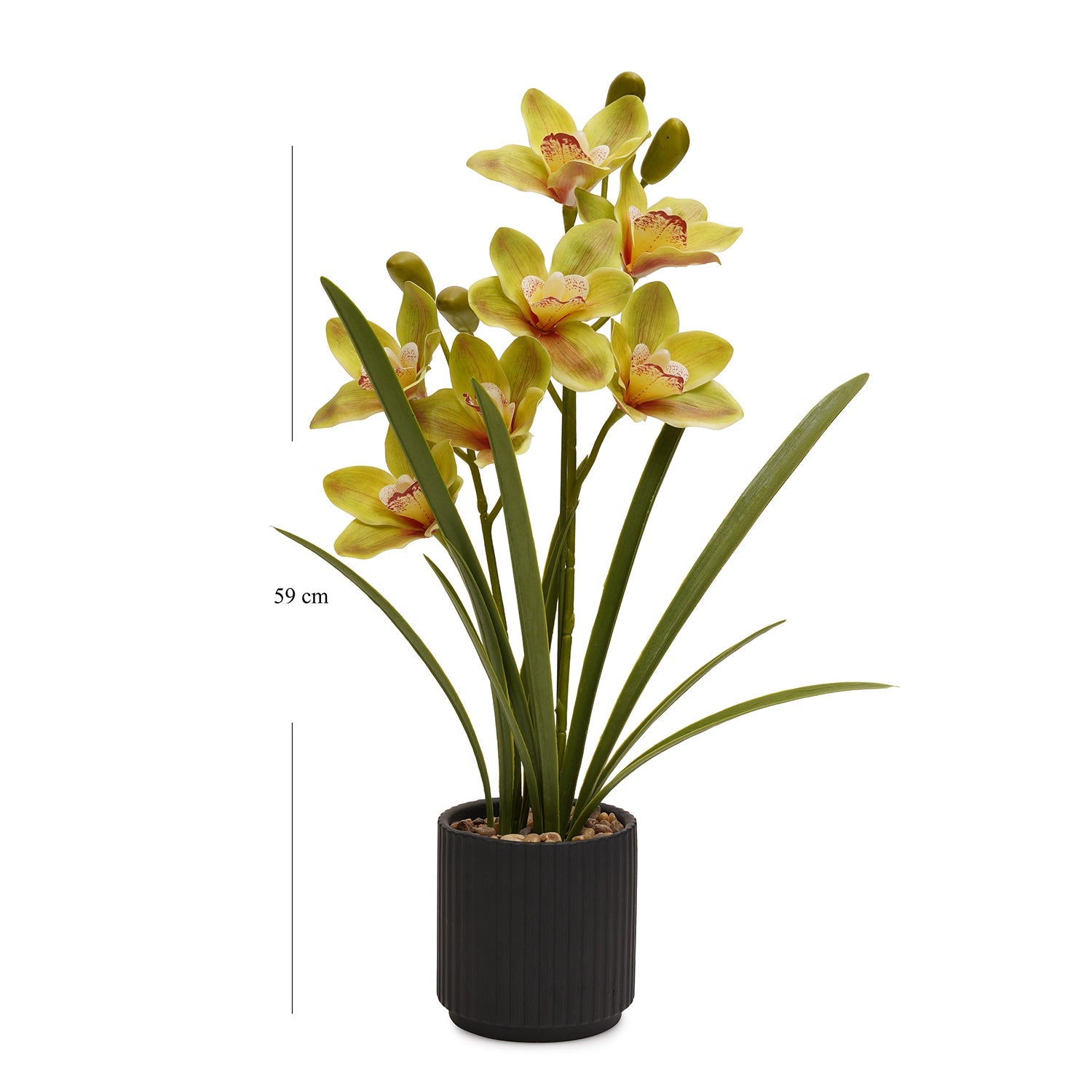 Green Artificial Cymbidium in Ceramic Pot