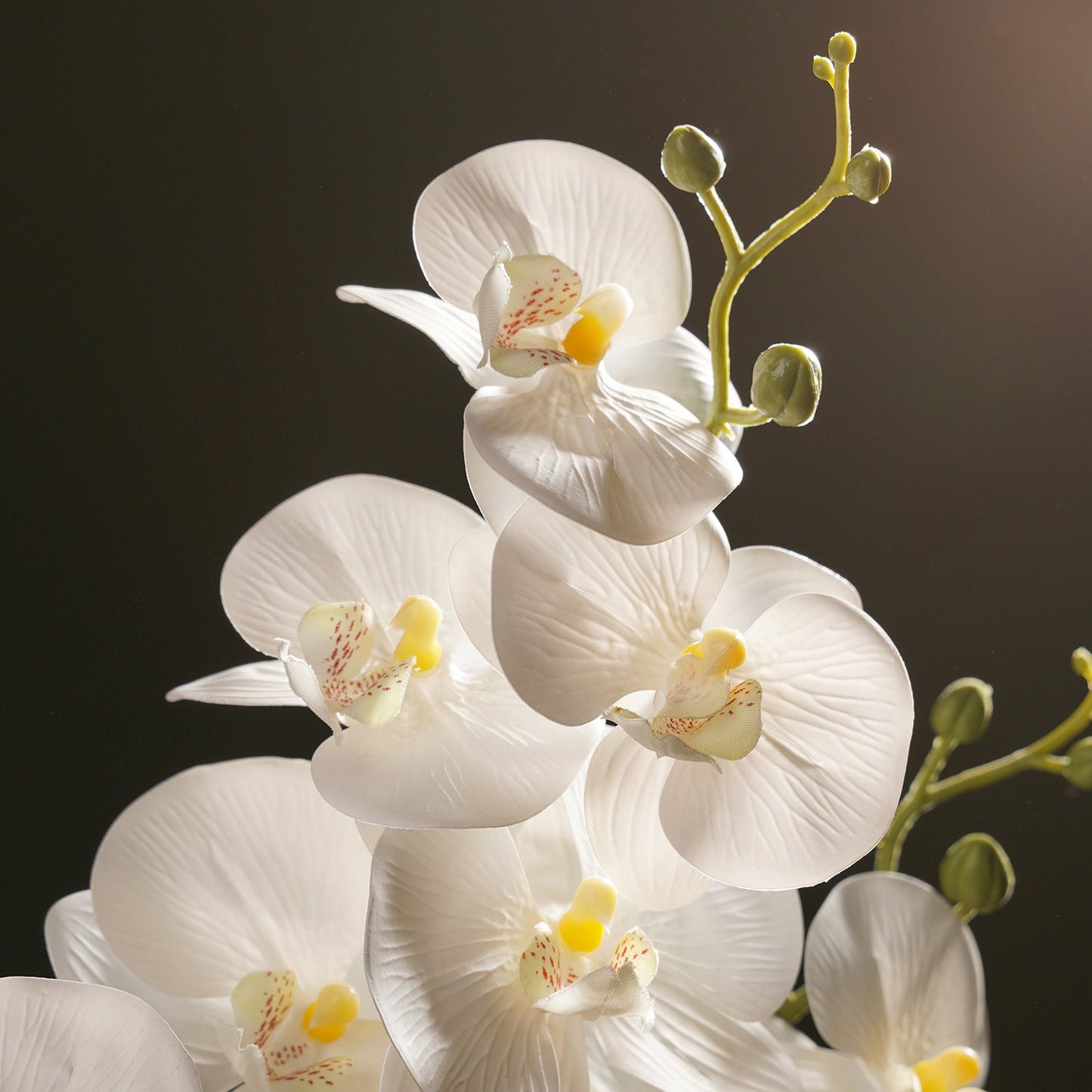 Ivory Artificial Orchid in Ceramic Pot