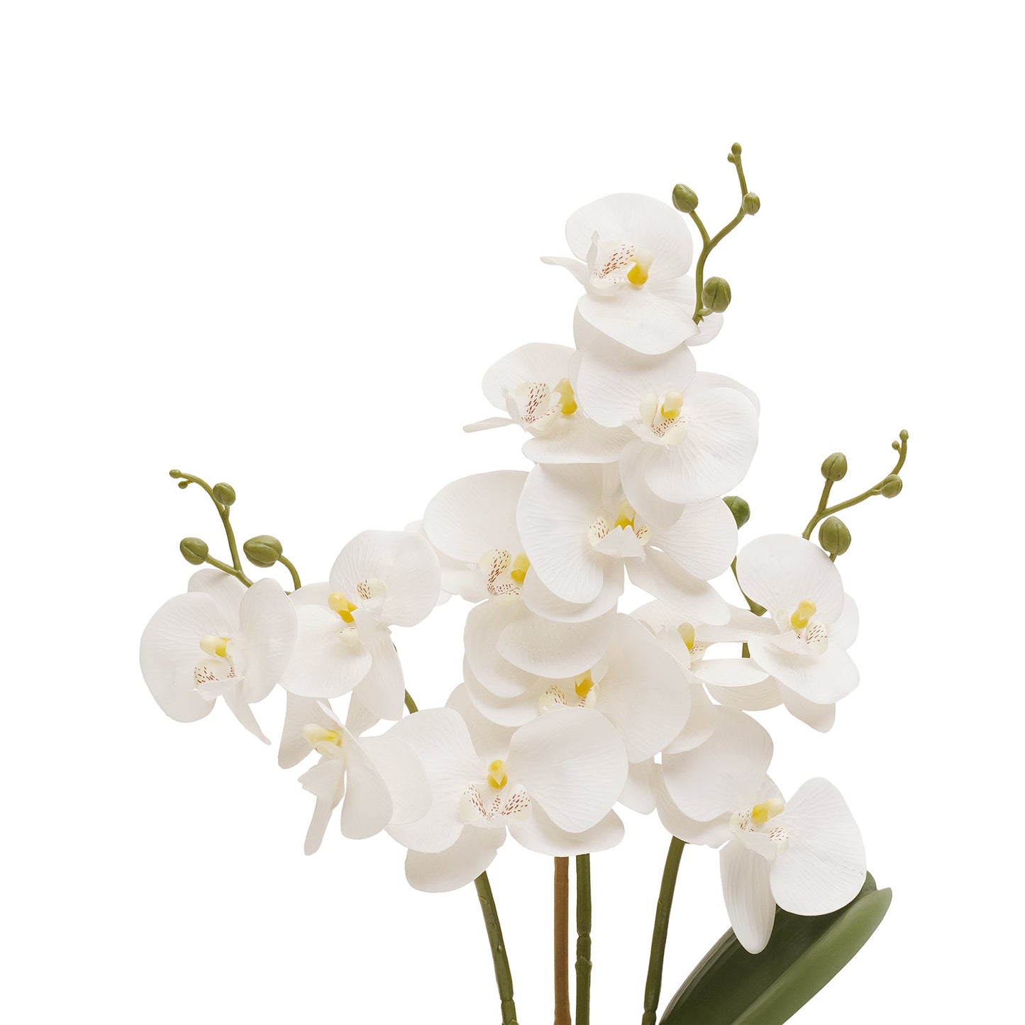 Ivory Artificial Orchid in Ceramic Pot