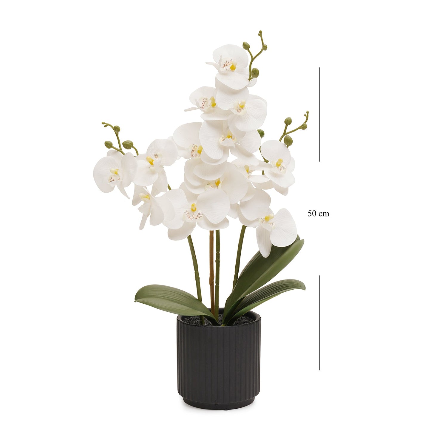 Ivory Artificial Orchid in Ceramic Pot