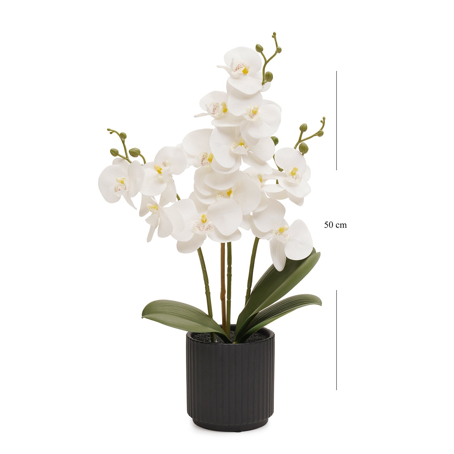 Ivory Artificial Orchid in Ceramic Pot