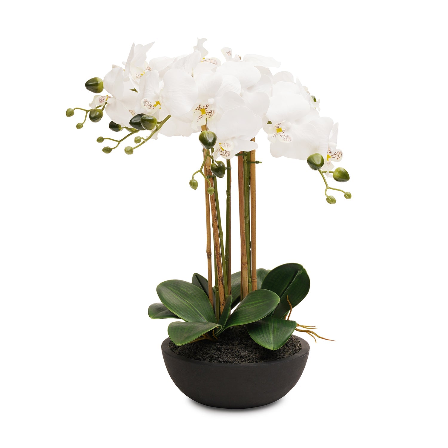 White Artificial Orchid in Paper Mache Pot - Large