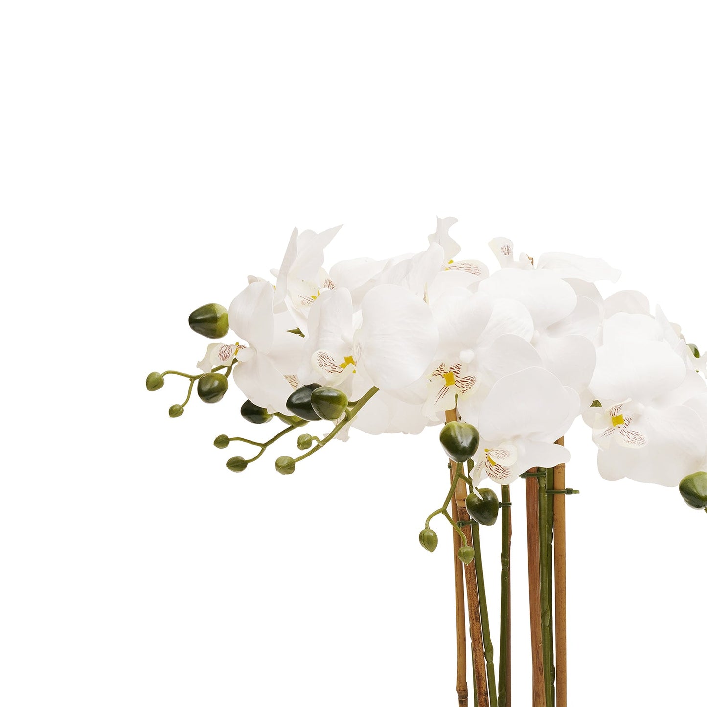 White Artificial Orchid in Paper Mache Pot - Large