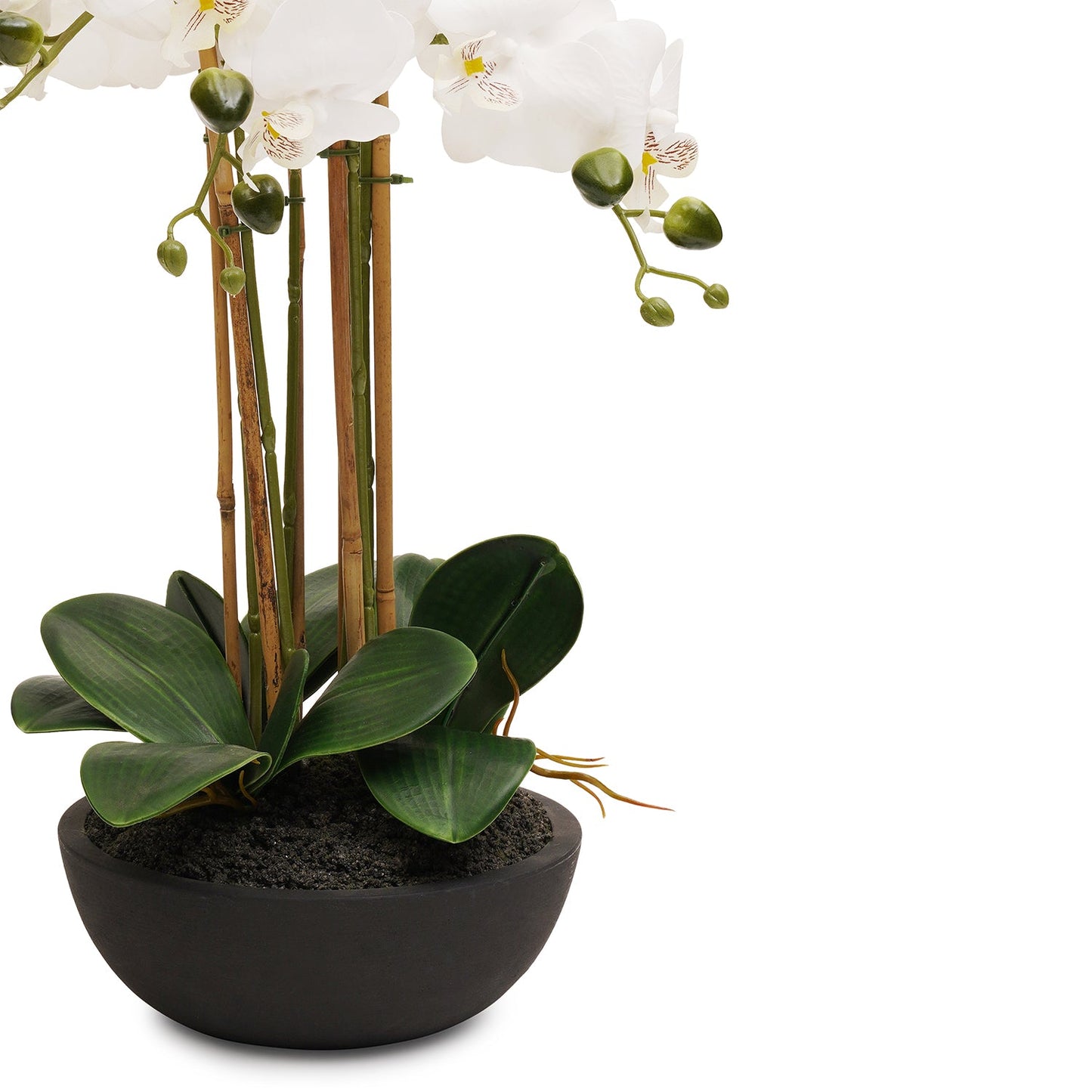 White Artificial Orchid in Paper Mache Pot - Large