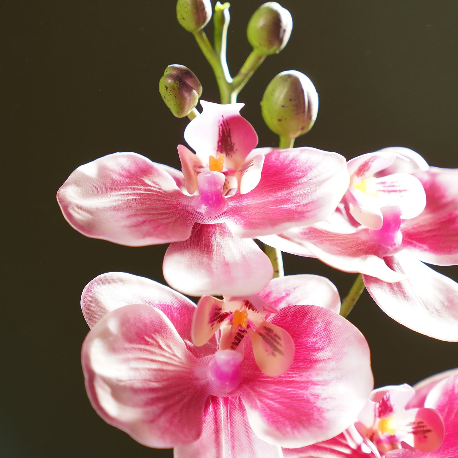 Pink Artificial Orchid in Cement Pot