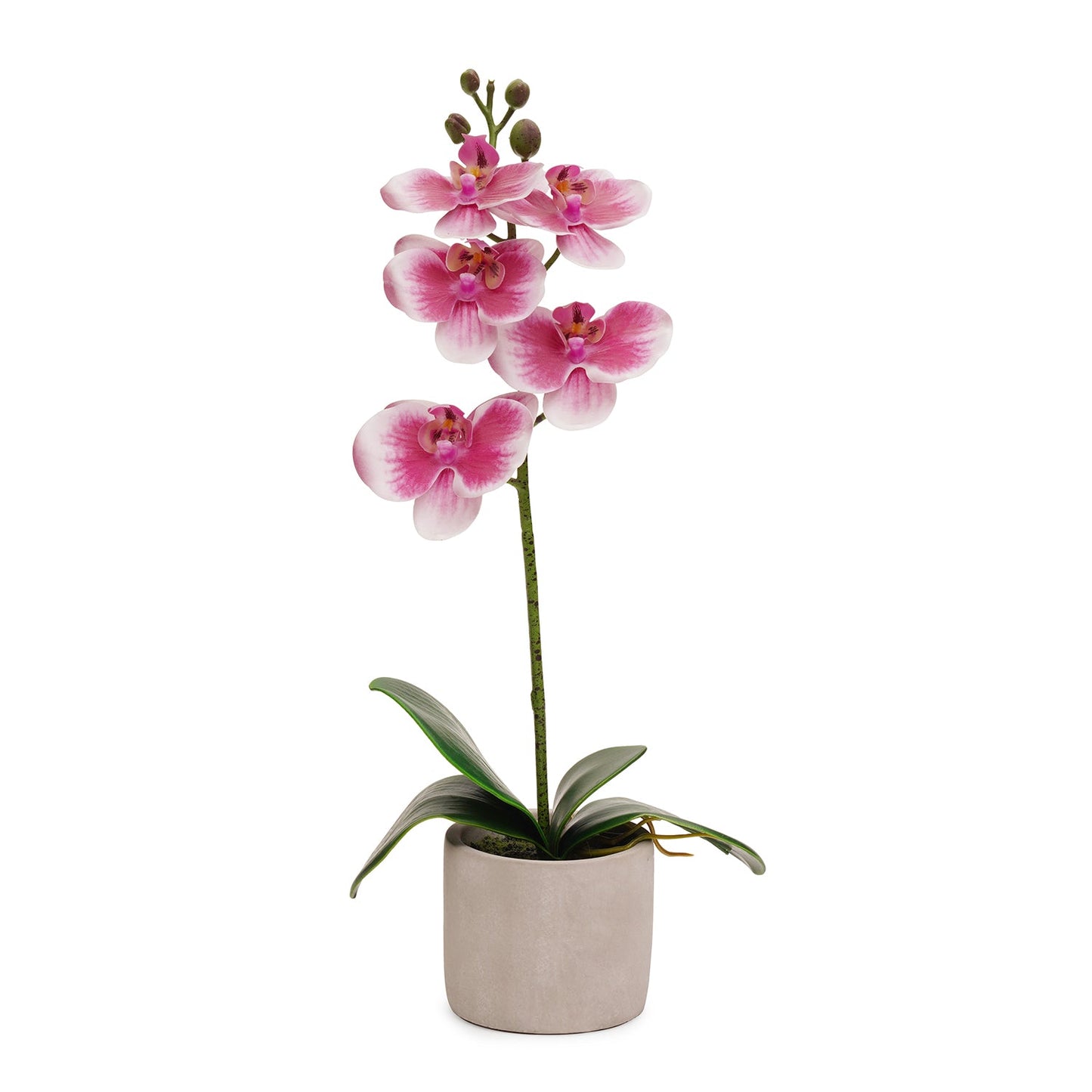 Pink Artificial Orchid in Cement Pot