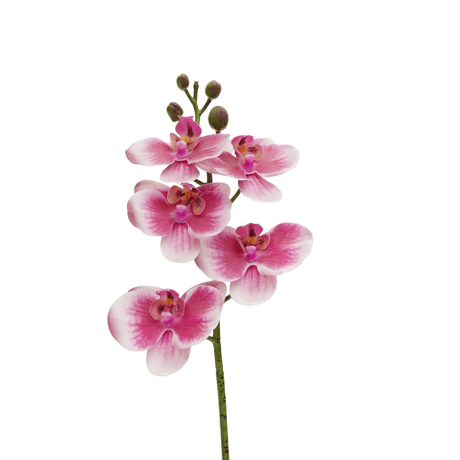 Pink Artificial Orchid in Cement Pot