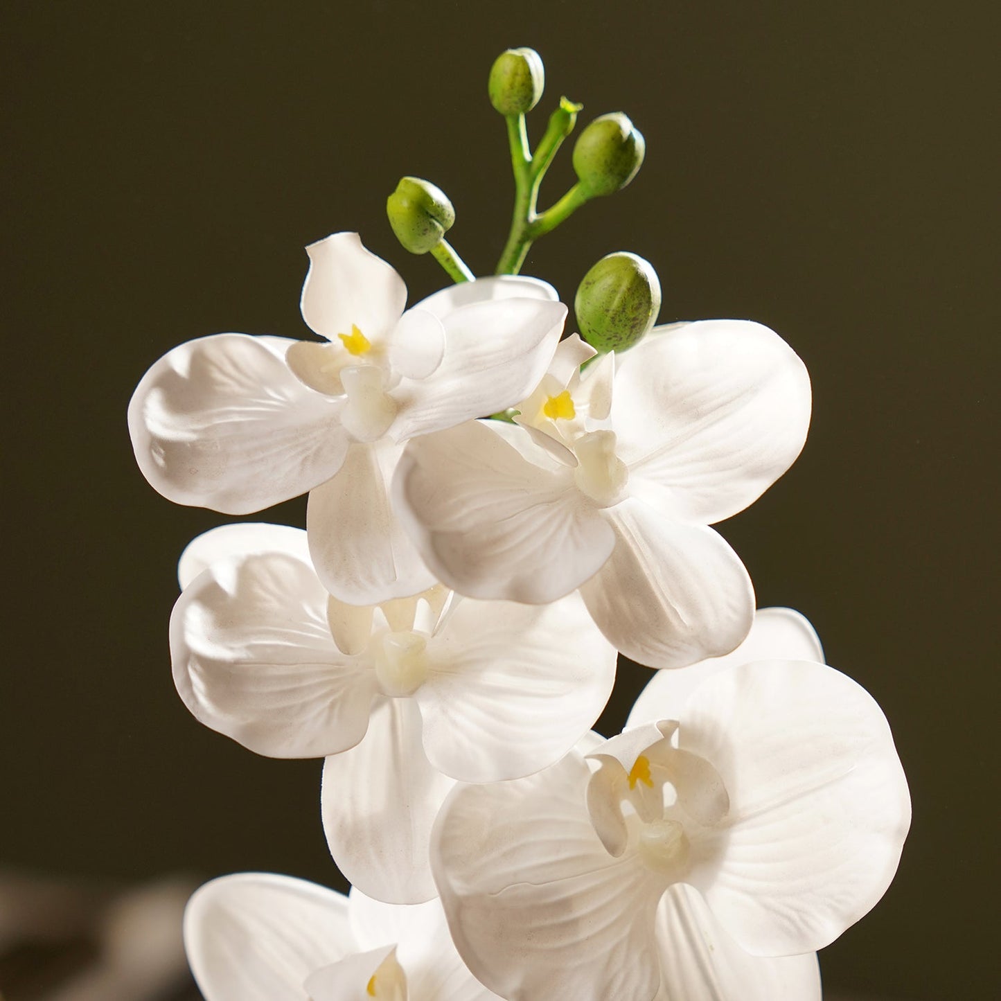 White Artificial Orchid in Cement Pot