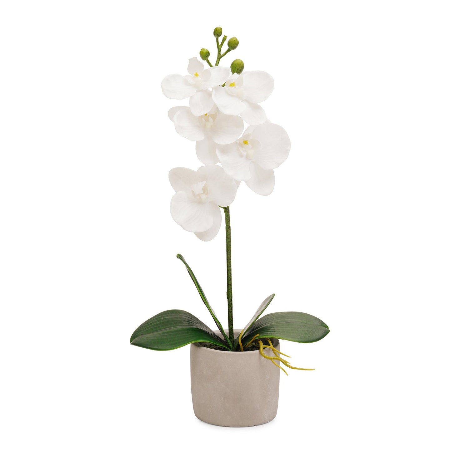 White Artificial Orchid in Cement Pot