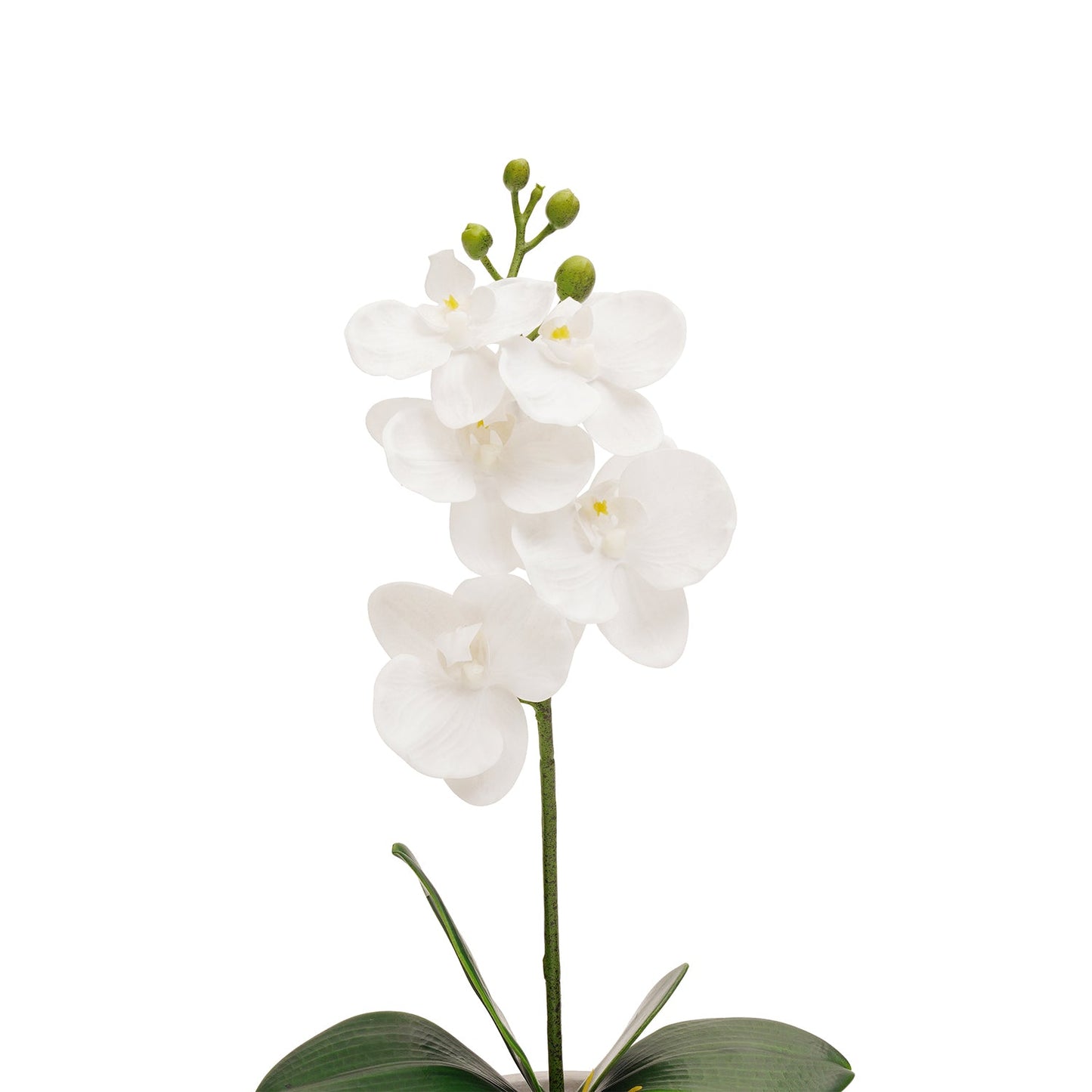 White Artificial Orchid in Cement Pot