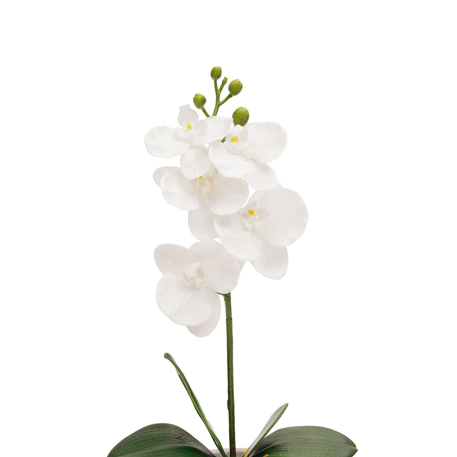 White Artificial Orchid in Cement Pot