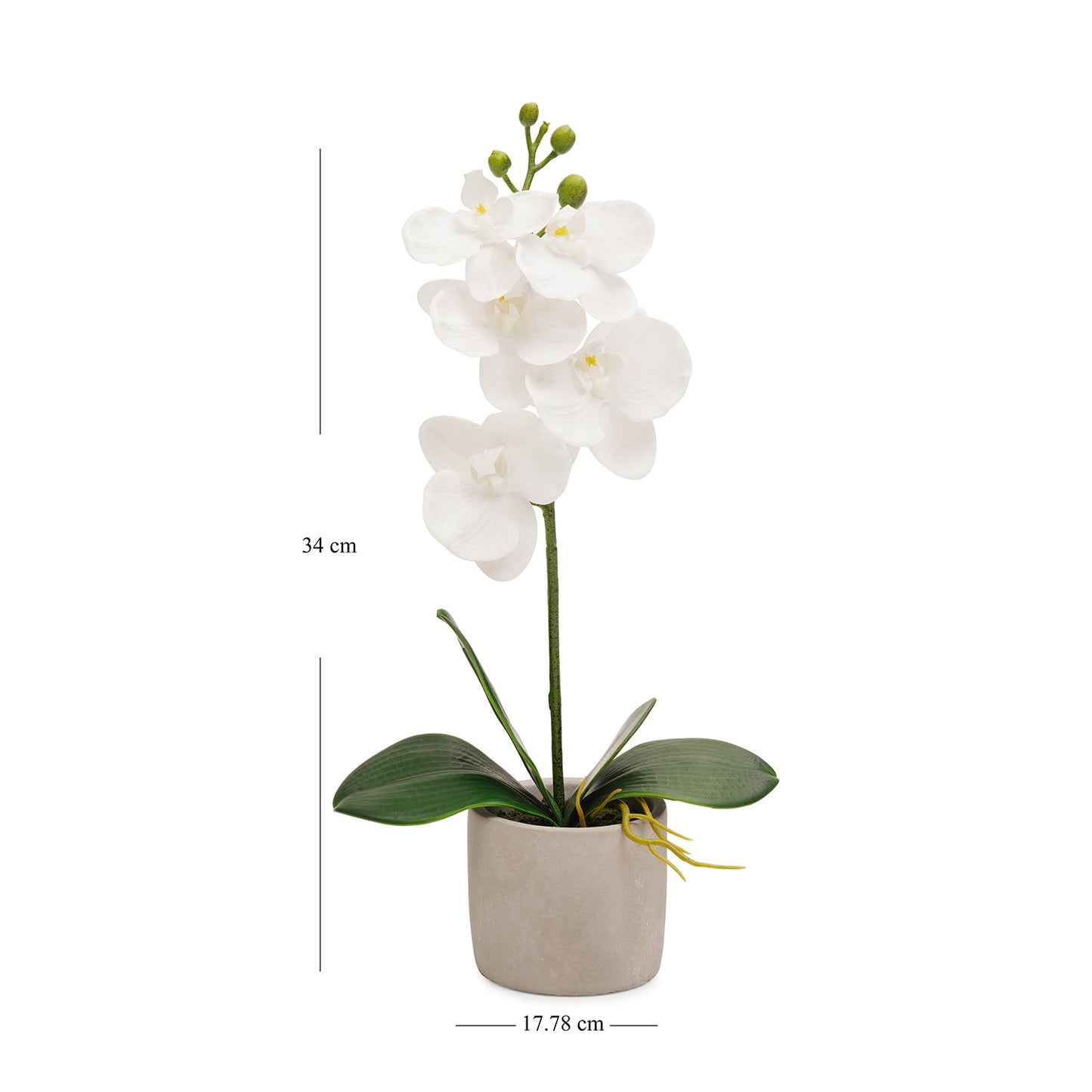 White Artificial Orchid in Cement Pot