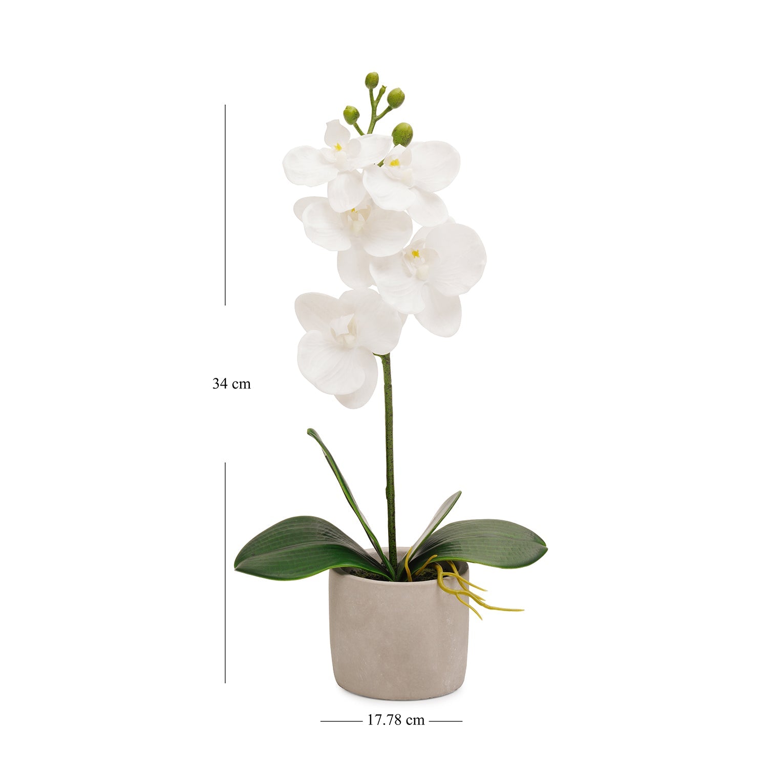 White Artificial Orchid in Cement Pot